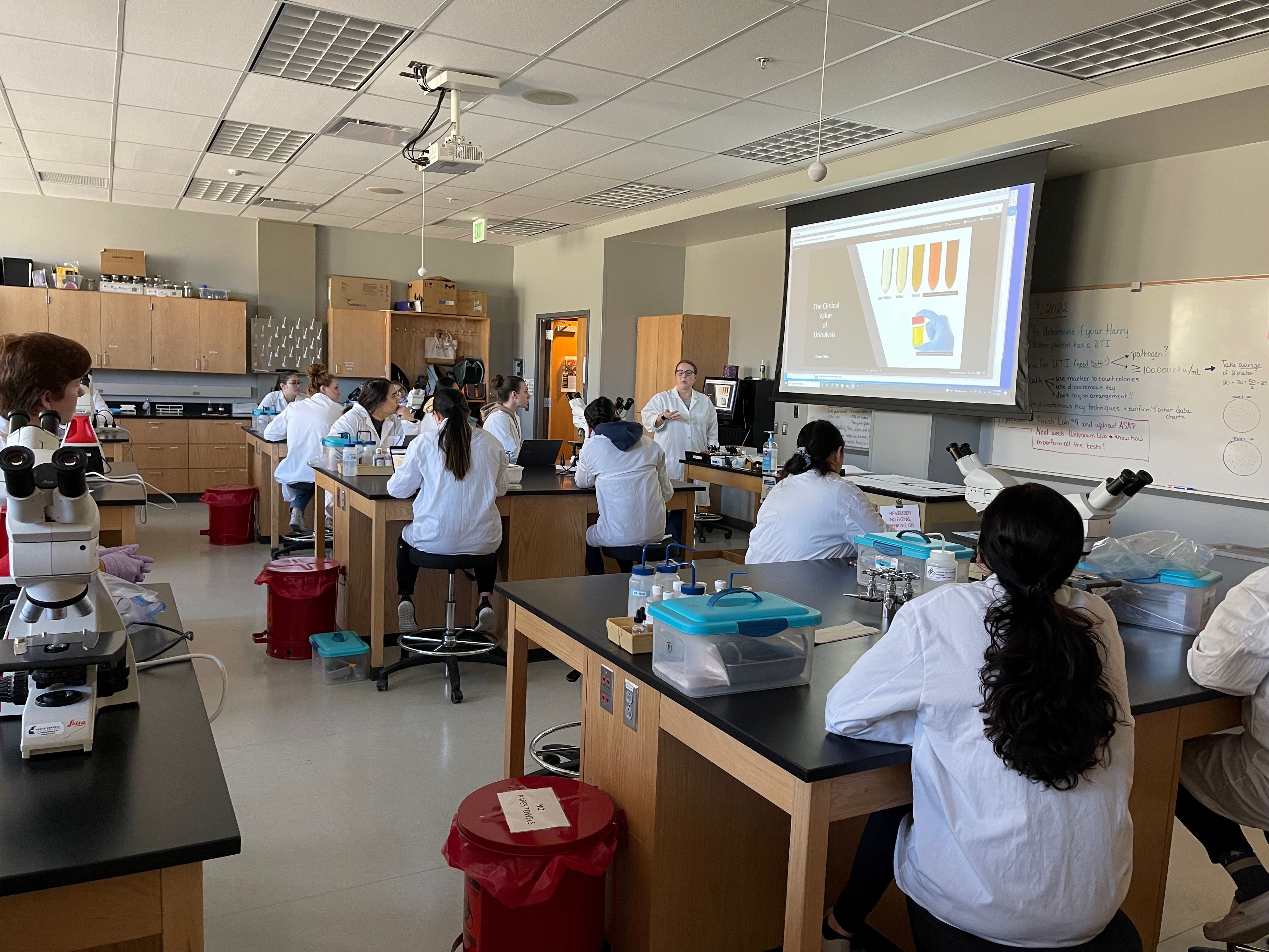 students in lab class