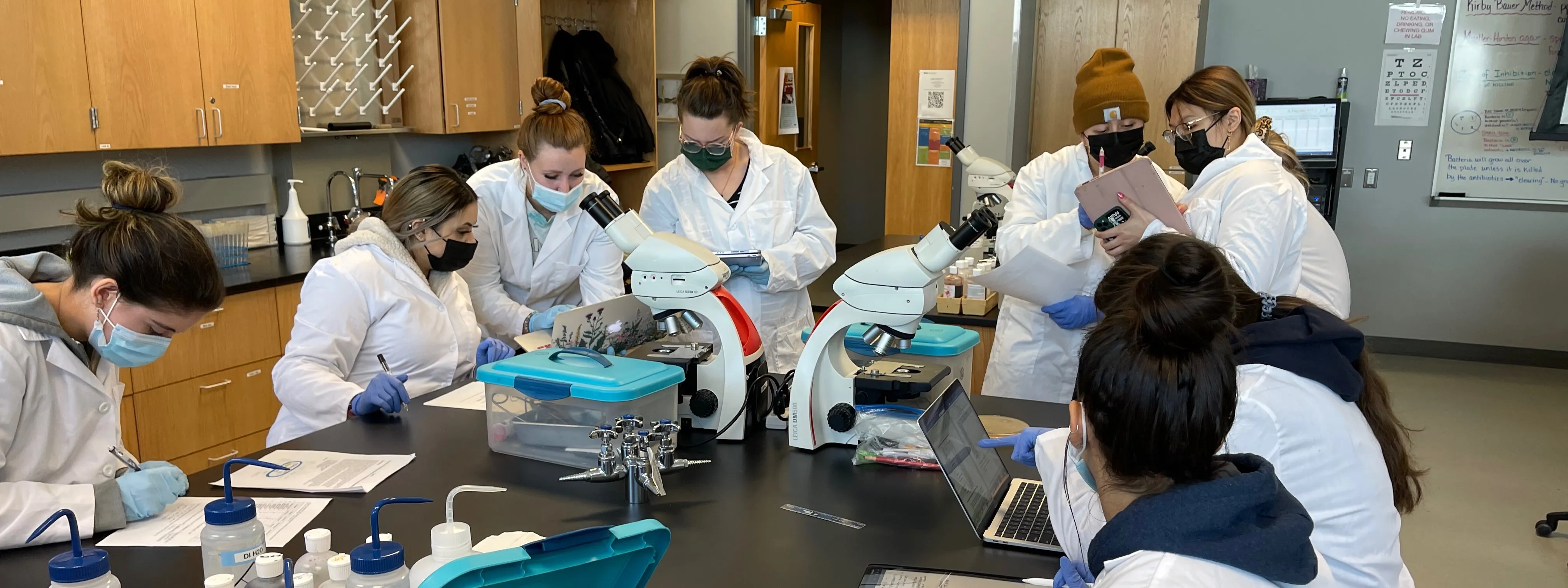 uccs biology students working in a lab classroom