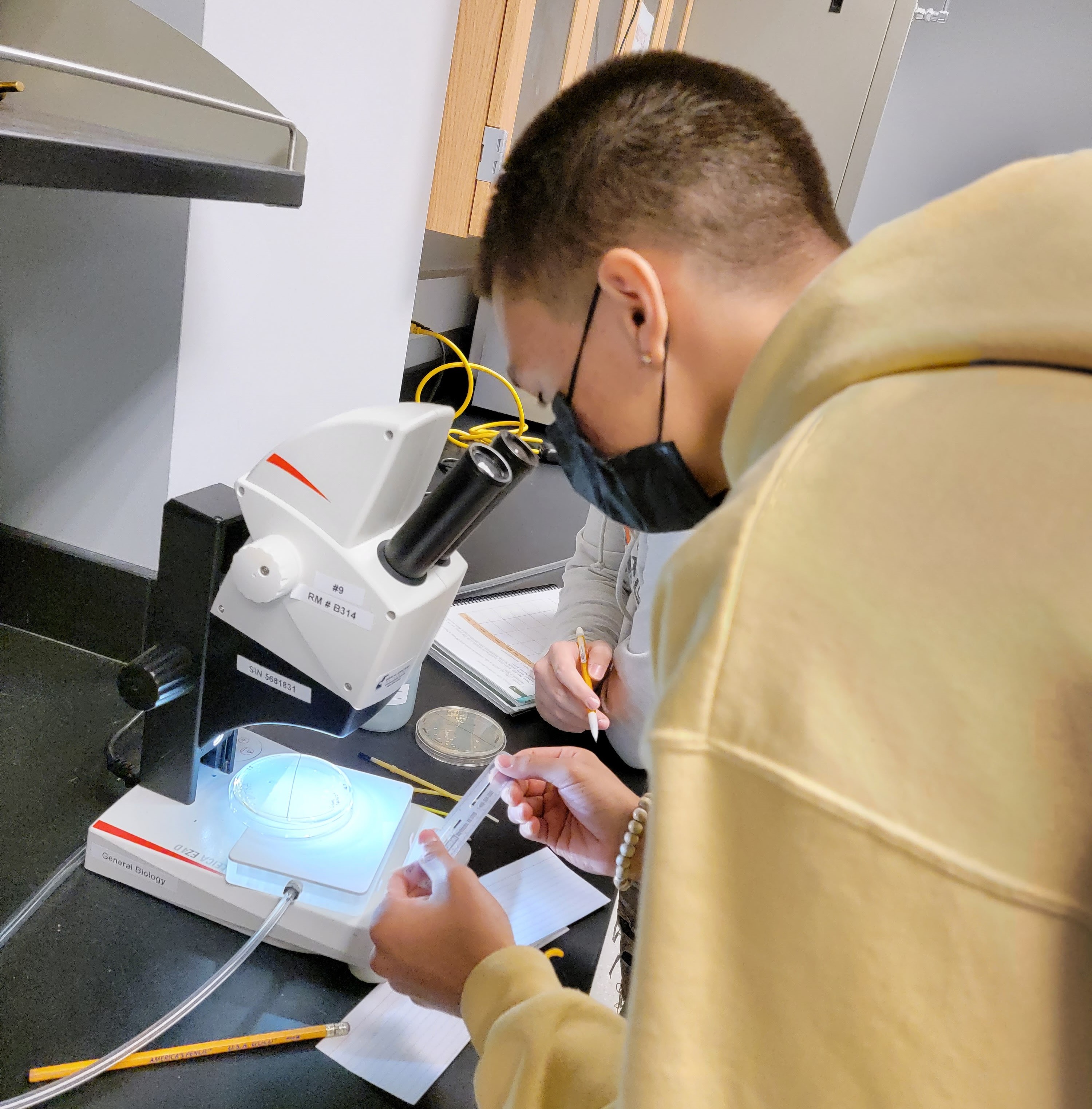student preparing sample for microscope